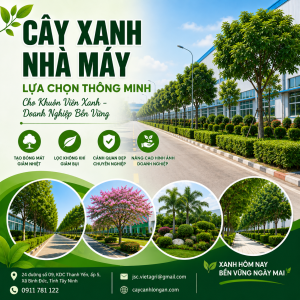 cay-xanh-nha-may