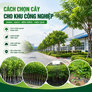 cach-chon-cay-cho-khu-cong-nghiep-dep-ben-vung-va-tiet-kiem-chi-phi