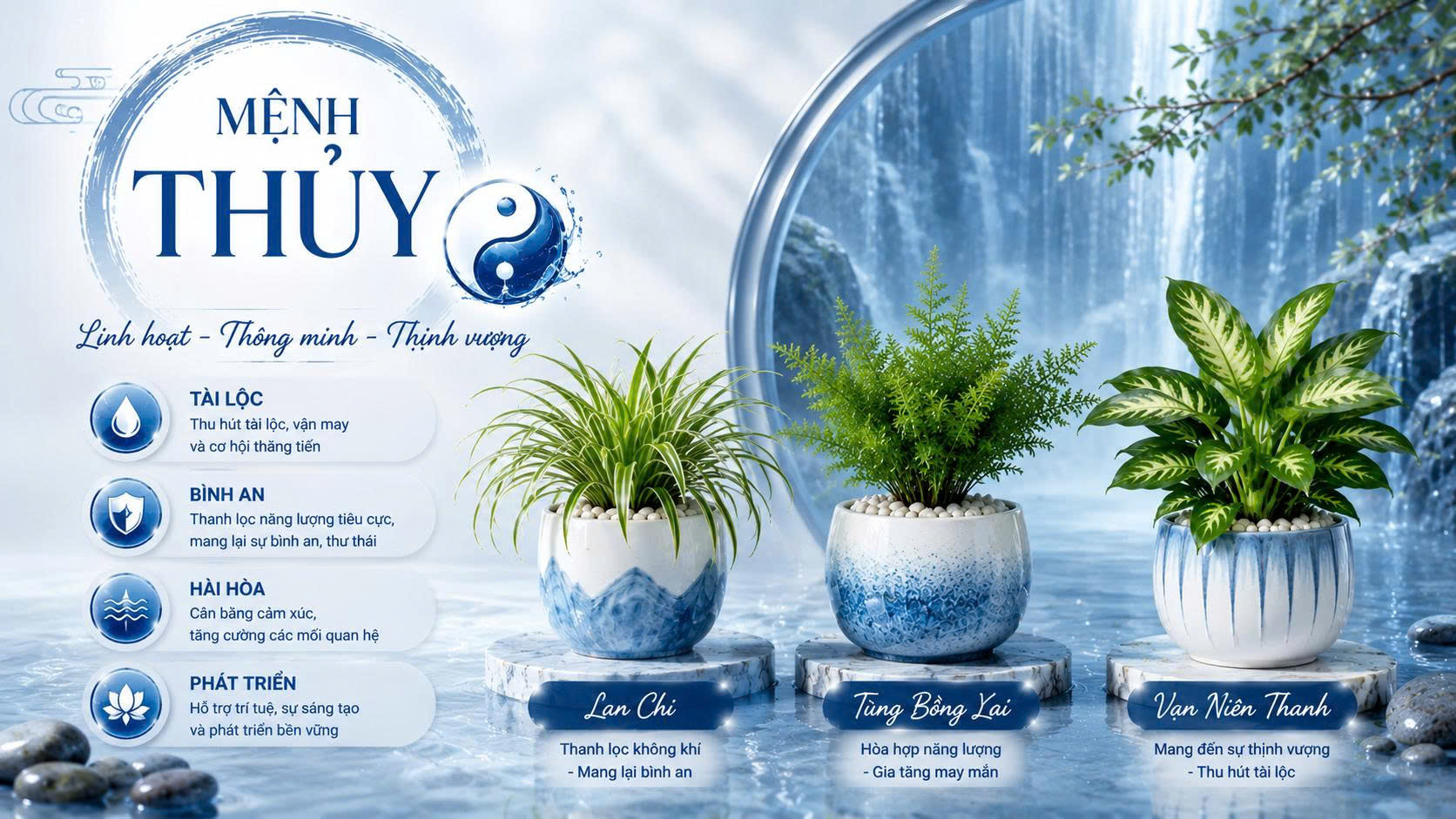 cay phong thuy hop menh thuy